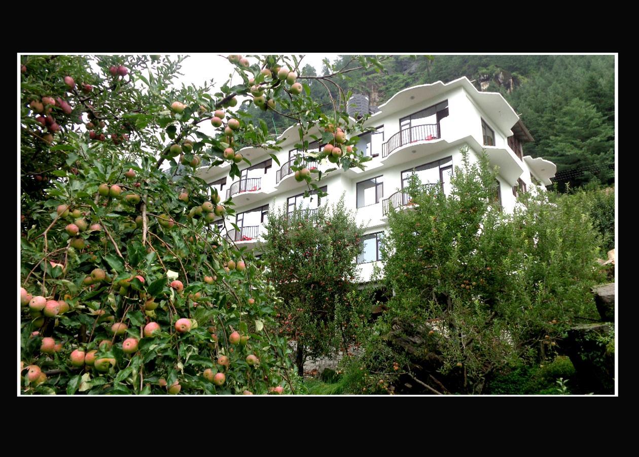 Apple Crescent Resort - Manali (Himachal Pradesh), Manali